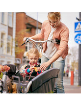 Load image into Gallery viewer, Hendrik - Cargo Bike - One size fits all - Gazelle Cabby