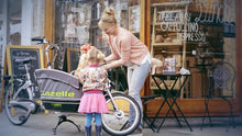 Load image into Gallery viewer, Hendrik - Cargo Bike - One size fits all - Gazelle Cabby