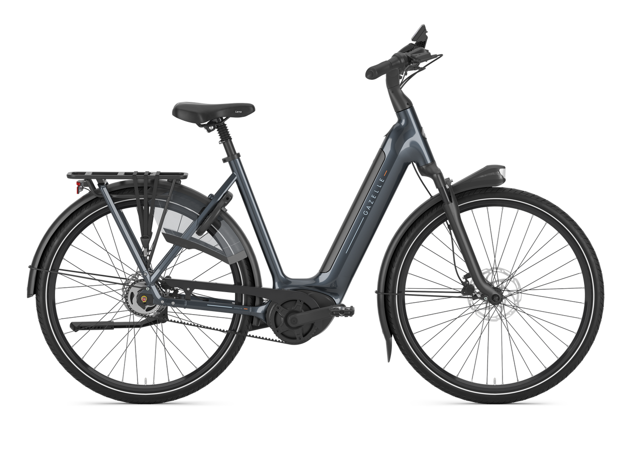 ELECTRIC  Go Dutch Bikes
