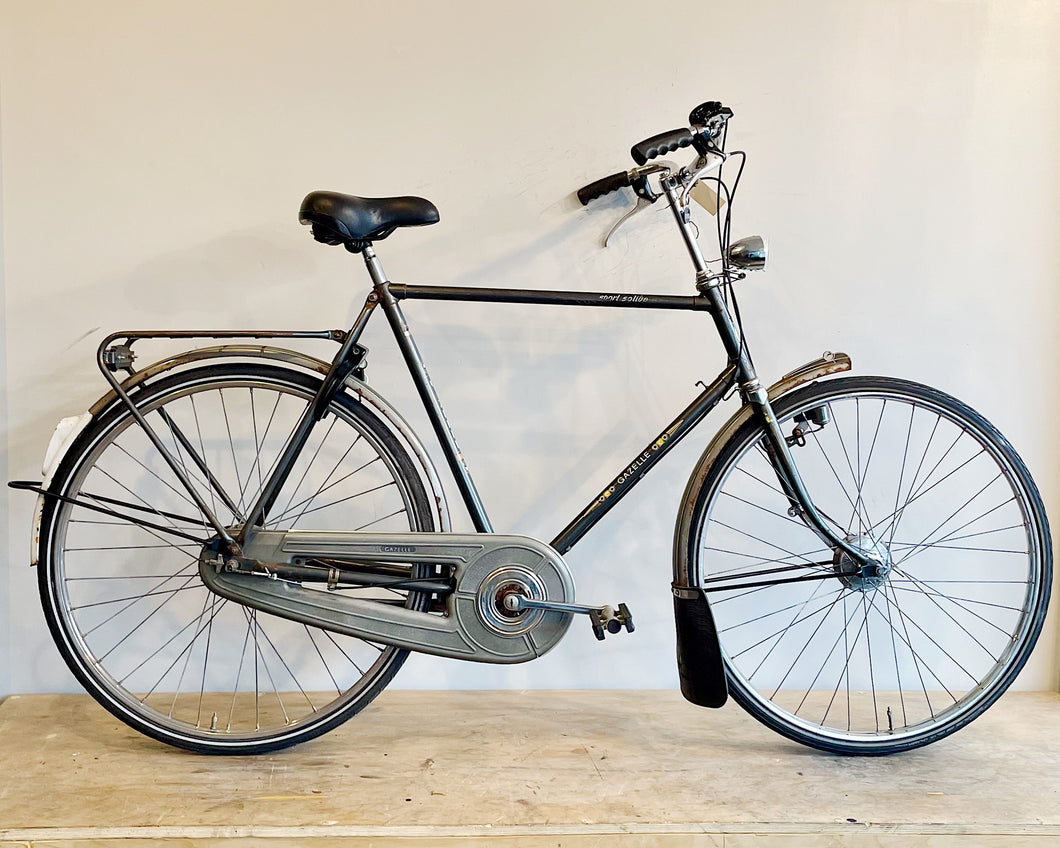 Liesette Crossbar Style Dutch Bike 24 Large