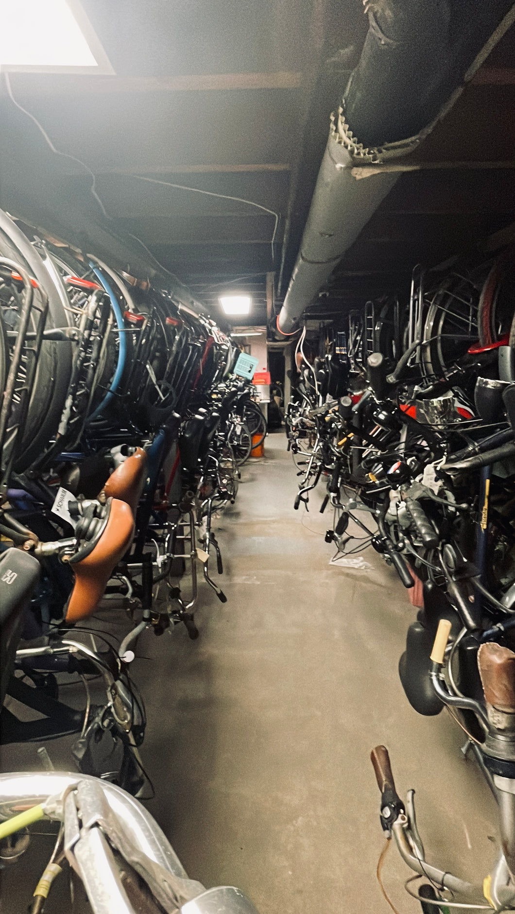 Service - Winter Storage